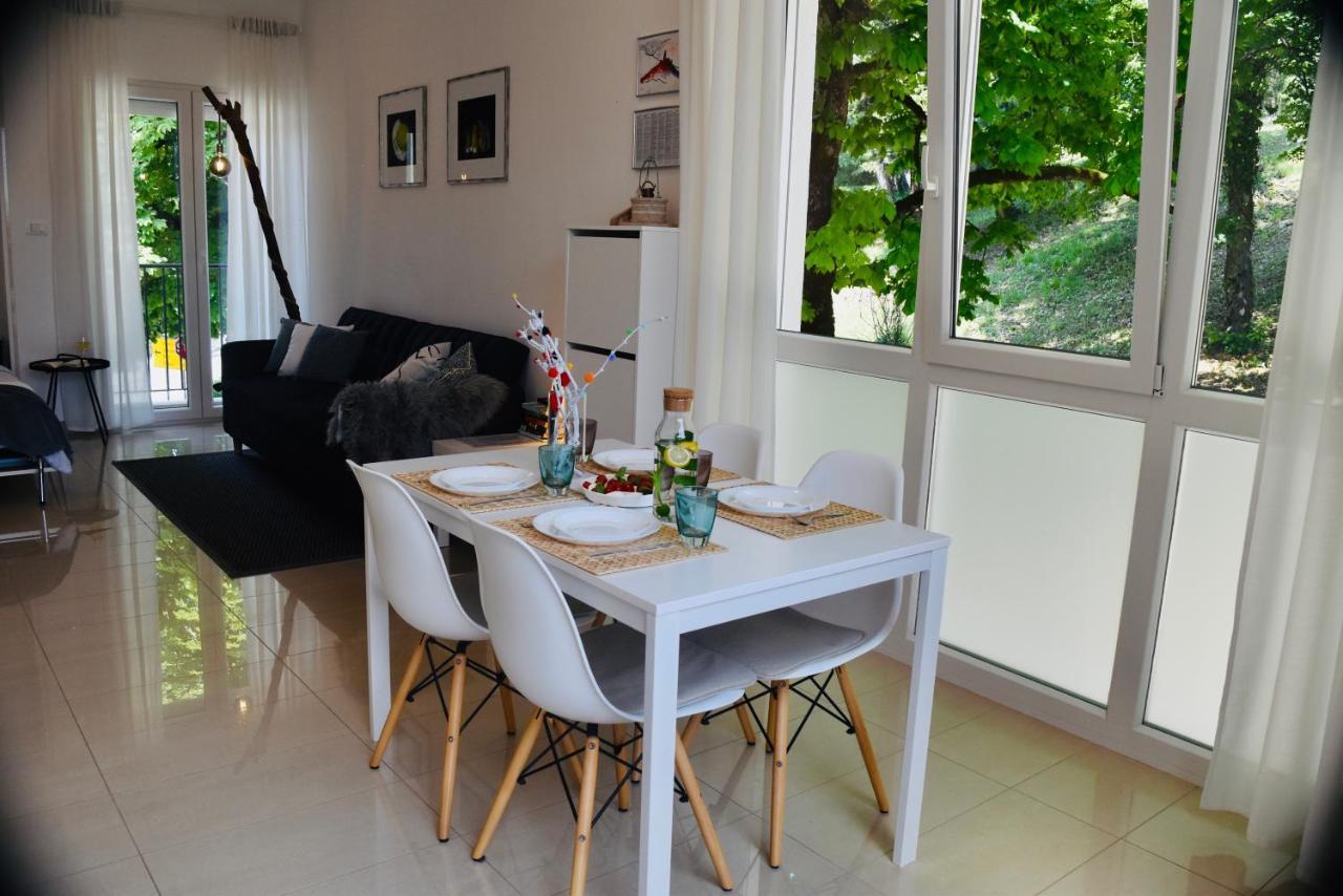 Studio Apartment Stazion With Free Parking Pazin Exterior photo