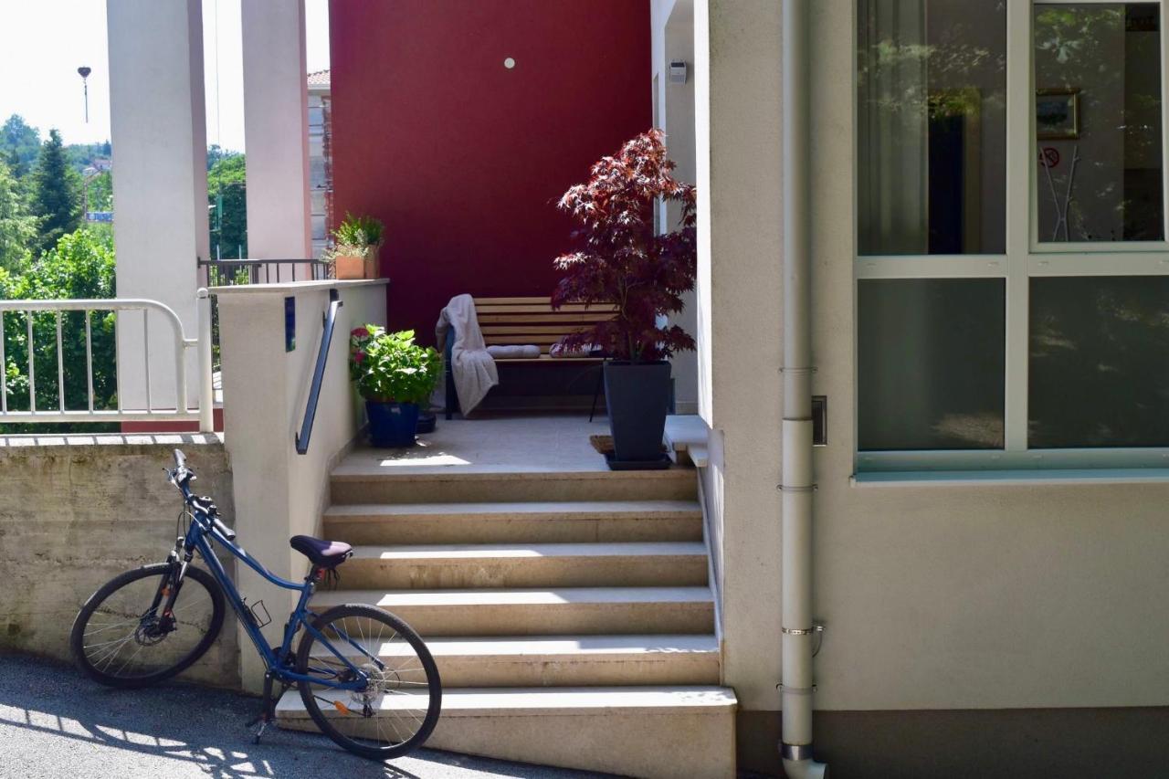 Studio Apartment Stazion With Free Parking Pazin Exterior photo